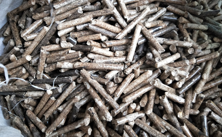 木屑制粒機生產(chǎn)的生物顆粒.jpg