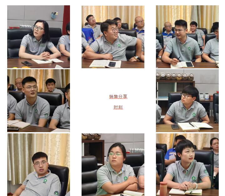 銷售精英們結(jié)合自己特點(diǎn)進(jìn)行工作匯報。.jpg